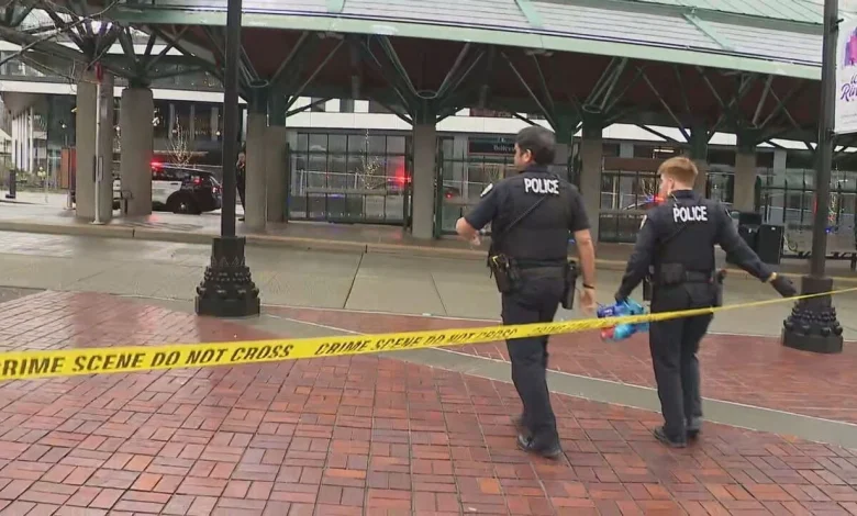 Man allegedly lured police with fake 911 call before stabbing at Bellevue Transit Center