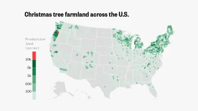 Map: Where in the U.S. Christmas trees are grown