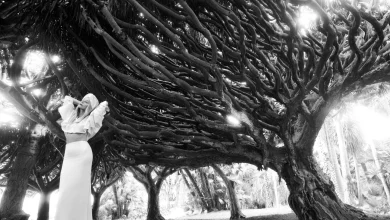 Marty Supreme, Acting Return, Goop