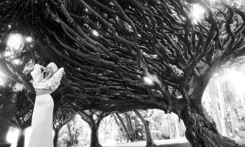 Marty Supreme, Acting Return, Goop