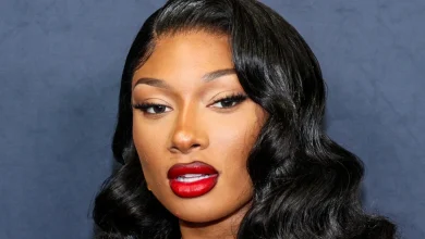 Megan Thee Stallion wins defamation civil suit against blogger