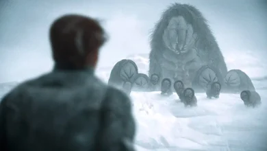 Memphis Flyer | The Best Films of 2025