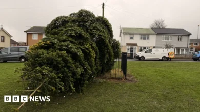 Men arrested after Shotton Colliery Christmas tree cut down