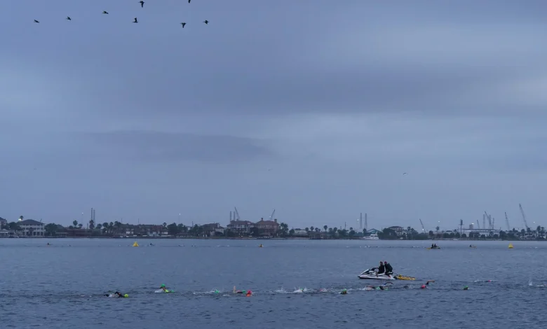 Mexican Navy plane crashes off US coast, killing five | News