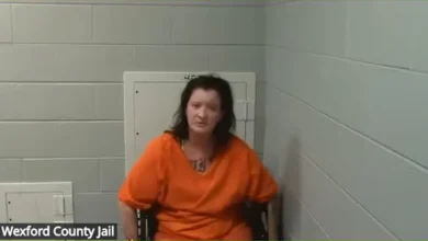 Michigan woman accused of cutting baby from daughter requests jail release to care for son