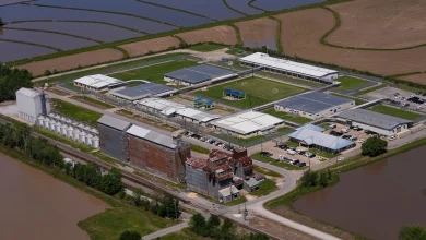 Mom of Karoline Leavitt’s nephew granted bond after ICE arrest