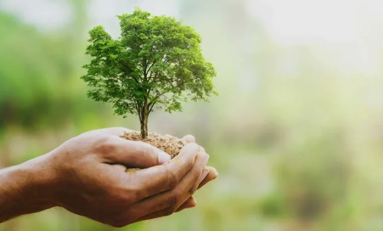 Money Grows On This Tree As Discount Retailers Crush Estimates