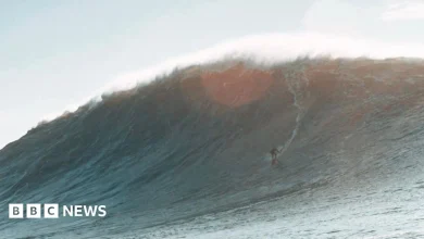 Monster wave brings record hope for Devon surfer Laura Crane