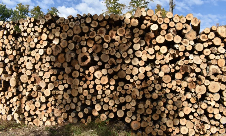 More buildings are using mass timber. Could it boost Wisconsin's forest industry?