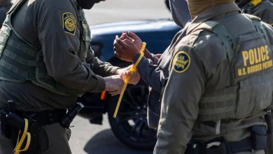 Most arrested in some big city immigration crackdowns had no criminal record, new data shows