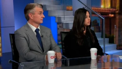 Mother of Karoline Leavitt’s nephew speaks out after ICE arrest