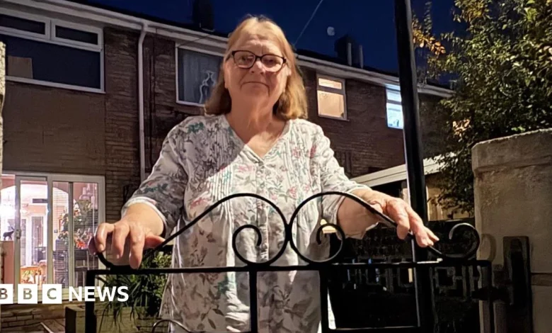 Mum's 27-year wait for return of global explorer son Karl Bushby