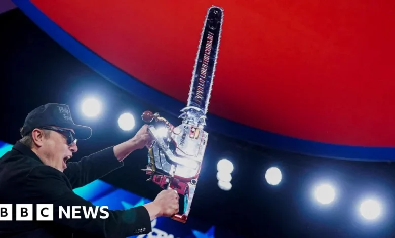 Musk says Doge was 'somewhat successful' but he wouldn't do it again