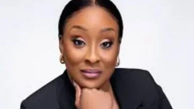 NDPHC’s renewed momentum: assessing progress under Adighije