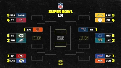 NFL Playoff Bracket Picture 2025-26 and AFC, NFC Standings After Week 13 Early Slate