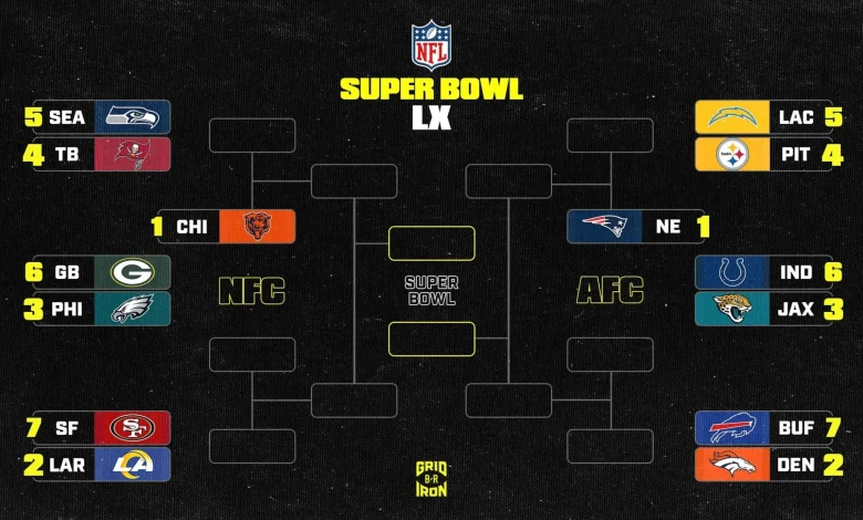 NFL Playoff Bracket Picture 2025-26 and AFC, NFC Standings After Week 13 Early Slate