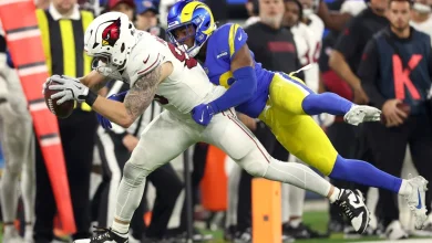 NFL Week 14 Seattle Seahawks playoff rooting guide: Go Arizona Cardinals!