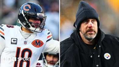 NFL results & pick of week 13: Panthers upset Rams as Bears top NFC