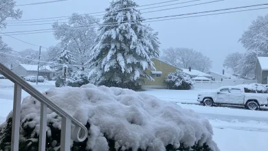 N.J. snowfall totals top 8 inches in some areas. See early snow reports in each county.