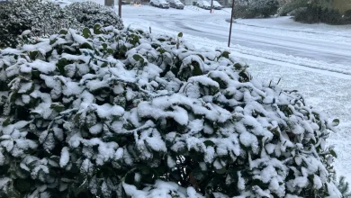 N.J. weather: Black ice, freezing temps in forecast today. Up to 50 mph winds follow next storm Sunday.