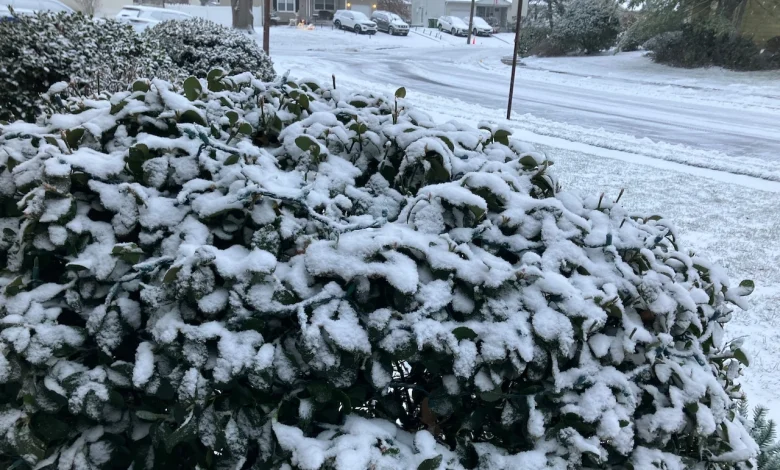 N.J. weather: Black ice, freezing temps in forecast today. Up to 50 mph winds follow next storm Sunday.