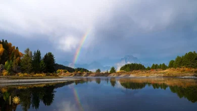 National parks add Trump's birthday to list of fee-free days and remove MLK Day, Juneteenth