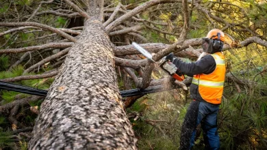 Nearly 100K without power as high winds push through Spokane region