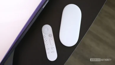 Netflix quietly killed casting from phones (Updated)