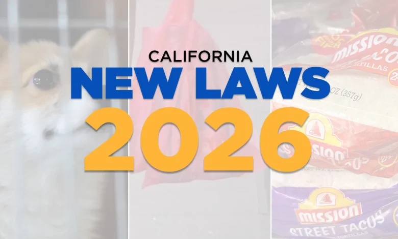 New California laws going into effect in 2026 ban plastic bags, affect your streaming services and give more control over chatbots