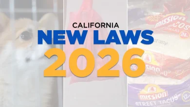 New California laws going into effect in 2026 ban plastic bags, affect your streaming services and give more control over chatbots