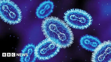 New mpox strain identified in England