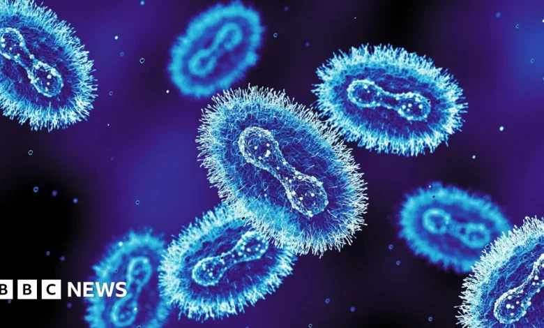 New mpox strain identified in England