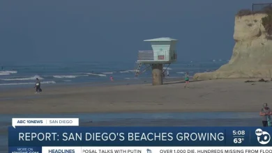 New studies from Scripps Oceanography explain the status of local & statewide beaches