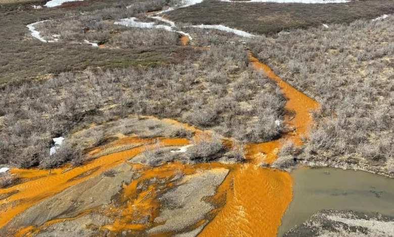 New ‘report card’ finds the Arctic continues to warm faster than the global average : NPR