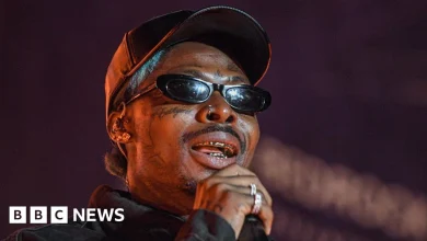 Nigerian Afrobeats star 'devastated' after fan Karen Lojore dies in Kenyan in crush