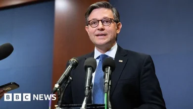 No vote coming on extending healthcare subsidies, US House Speaker says