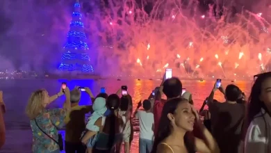 Noch ist der Rekordhalter brasilianisch: Hier steht noch der größte Weihnachtsbaum der Welt