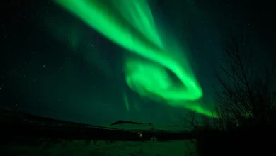 Northern Lights: These States May Observe Aurora Borealis Friday