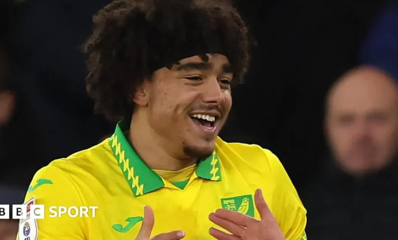 Norwich City 1-0 Charlton Athletic: Jovon Makama nets Canaries winner