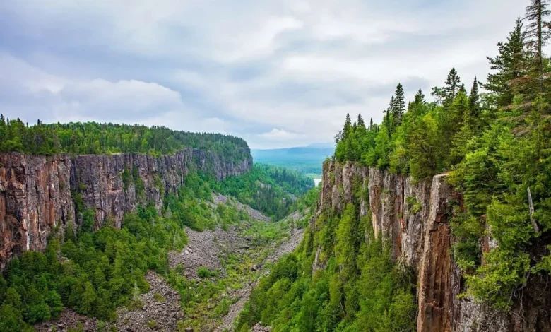 OINP issues over 1,100 invitations across five draws after two-month pause