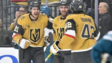 OTL’s Confusing VGK’s Record; Cassidy Explains What’s Gone Wrong Beyond Regulation