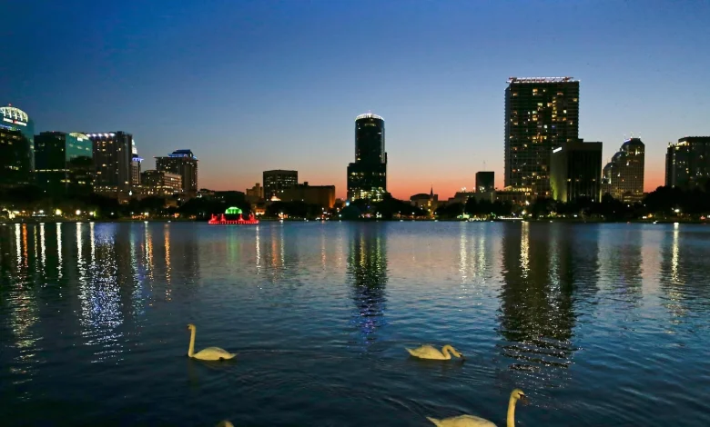 Officials suspect bird flu after 12 swans die at Orlando's Lake Eola