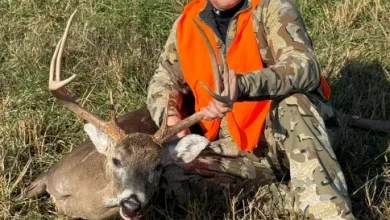 Open Letter from MDC Director Jason Sumners on CWD