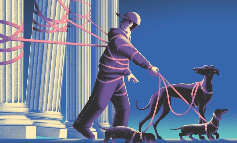 Opinion | Regulatory attacks on gig work hurt both companies and workers