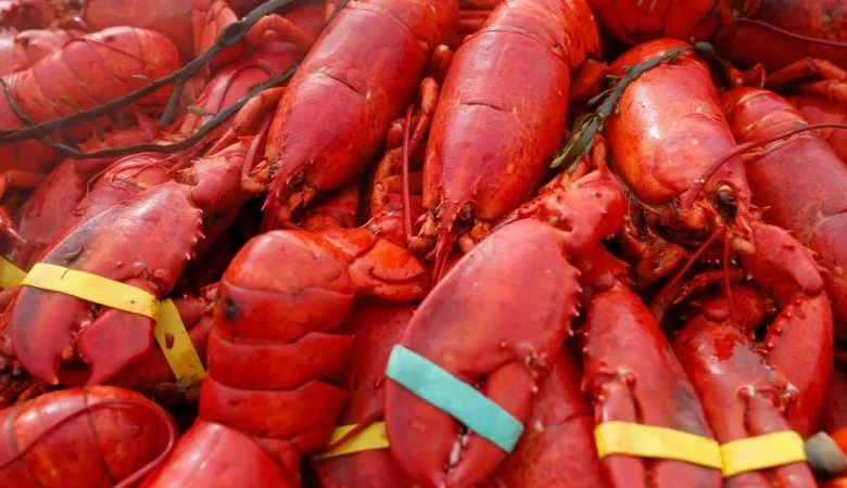 Oysters, crab and $400,000 worth of lobster meat stolen in New England