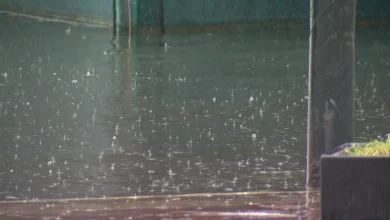 Part of the Bay Area will be under flood watch as heavy rain expected