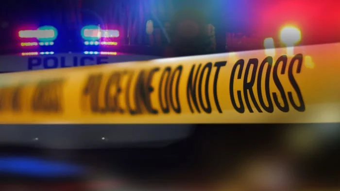 Pedestrian dies after being struck by vehicle in New Braunfels, officials say