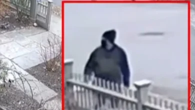 Person of interest ID'ed in Brown shooting as authorities probe connection to MIT professor's killing, sources say