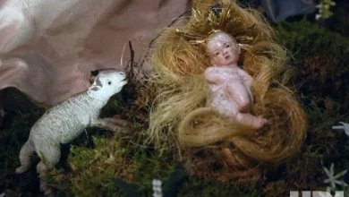 Photo: Christmas Tree and Neapolitan Baroque Creche at Met Fifth Avenue - NYP20251201122