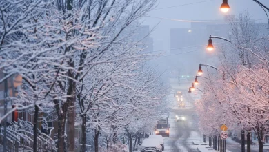 Pittsburgh's first blast of winter brings 'super pretty' snowfall — and a few headaches